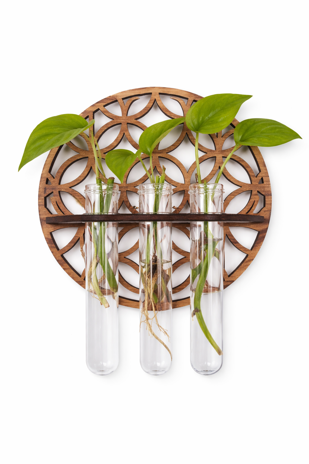 Wall-Mounted Plant Propagation Station | Wooden Hydroponic Holder (3 Tubes)