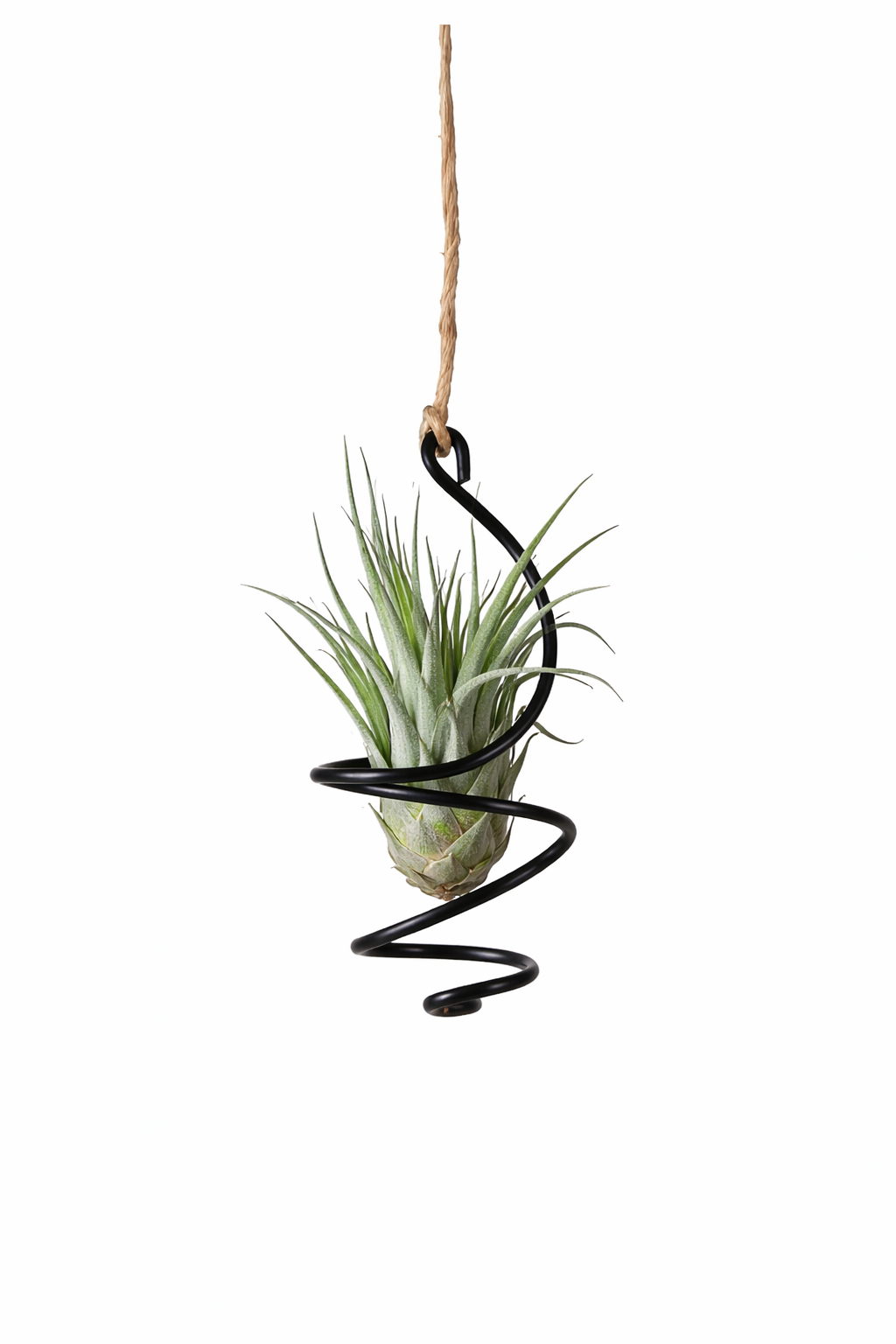 Small Air Plant Holder – Hanging String