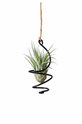 Small Air Plant Holder – Hanging String